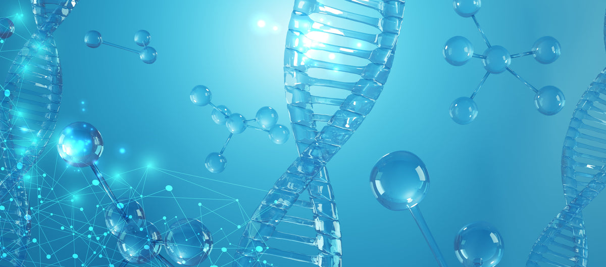 How DNA Analysis Works - And Why It's Better for Detecting Home Molds