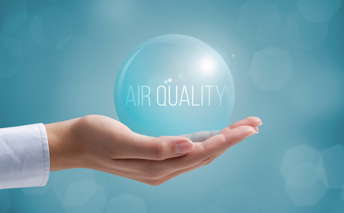 Mold in the Home: Myths and Misperceptions