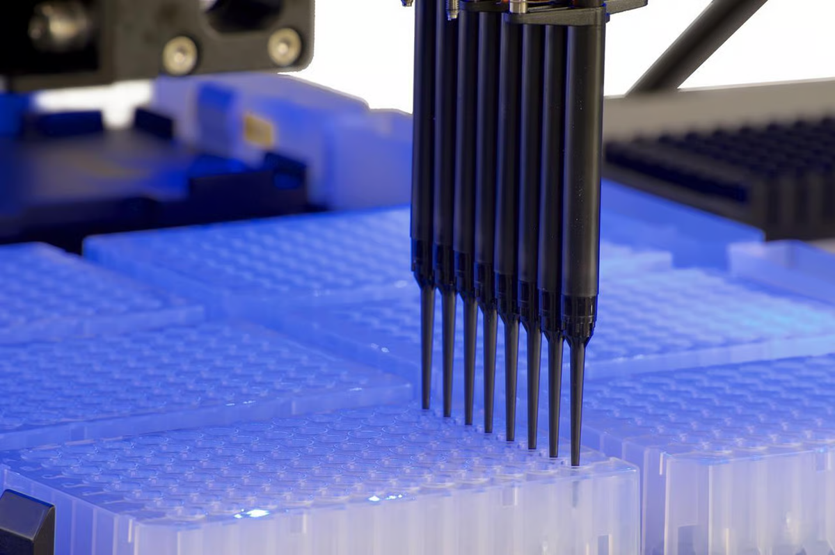Why DNA Analysis for Mold?