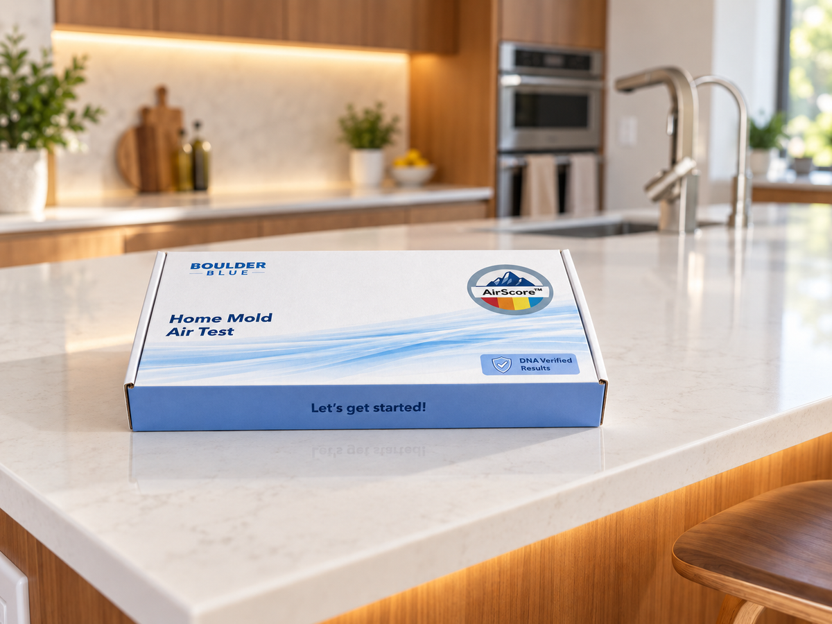 Home Air Mold Test Kit — DNA-Based Mold Detection