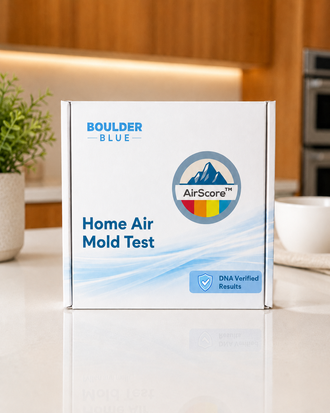 2-Room Mold Test Kit