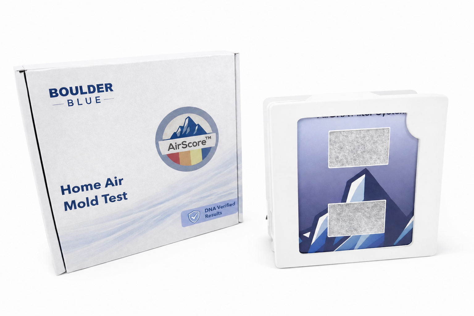 Mold Test Kit